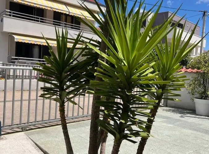 Apartamento Lili Flora Zadar